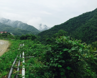 在线监测系统使用、维护仪器时注意